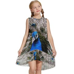 Peacock Bird Animal Feather Nature Colorful Kids  Frill Swing Dress by Ravend