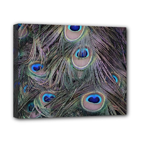 Peacock Feathers Peacock Bird Feathers Canvas 10  X 8  (stretched) by Jancukart