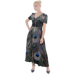 Peacock Feathers Peacock Bird Feathers Button Up Short Sleeve Maxi Dress by Jancukart