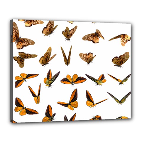 Butterfly Butterflies Insect Swarm Canvas 20  X 16  (stretched) by Salman4z