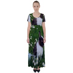 Rabbit High Waist Short Sleeve Maxi Dress by artworkshop