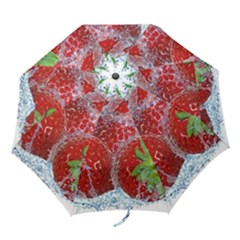 Red Strawberries Water Squirt Strawberry Fresh Splash Drops Folding Umbrellas by B30l