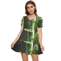 Drink Spinach Smooth Apple Ginger Tiered Short Sleeve Babydoll Dress by Ndabl3x