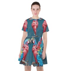 Birds Parrots Love Ornithology Species Fauna Sailor Dress by Ndabl3x