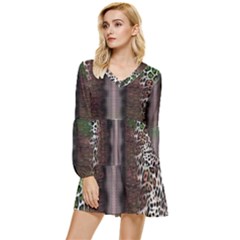 Leopard Animal Shawl Honeycomb Tiered Long Sleeve Mini Dress by Vaneshop