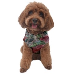 Design Pattern Scarf Gradient Dog Sweater by Vaneshop