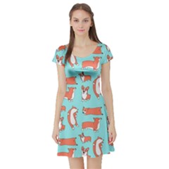 Corgis On Teal Short Sleeve Skater Dress by Wav3s