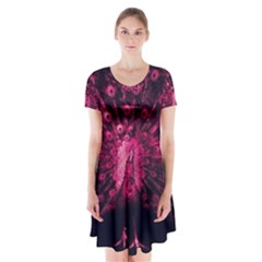 Peacock Pink Black Feather Abstract Short Sleeve V-neck Flare Dress by Wav3s