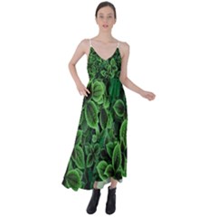 Shanghai Botanical Garden Tie Back Maxi Dress by Cowasu