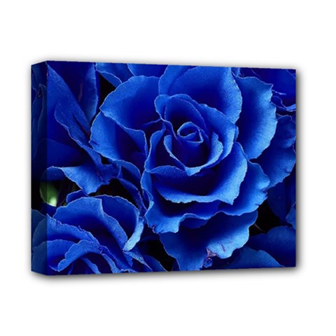 Blue Roses Flowers Plant Romance Blossom Bloom Nature Flora Petals Deluxe Canvas 14  X 11  (stretched) by Cowasu