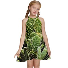 Cactus Flora Flower Nature Floral Kids  Halter Collar Waist Tie Chiffon Dress by Vaneshop