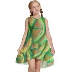 Beautiful-peacock Kids  Frill Swing Dress by uniart180623