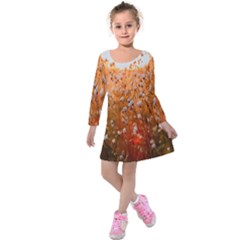 Late Afternoon Kids  Long Sleeve Velvet Dress by artworkshop