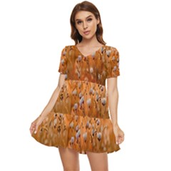 Late Afternoon Tiered Short Sleeve Babydoll Dress by artworkshop