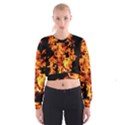 Live Coals Cropped Sweatshirt View1