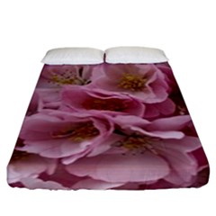 Cherry-blossoms Fitted Sheet (king Size) by Excel