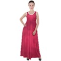 Amaranth Turbulance CAMEURUT Empire Waist Velour Maxi Dress View1