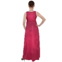 Amaranth Turbulance CAMEURUT Empire Waist Velour Maxi Dress View2