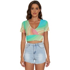 Arrangement-aesthetics-aesthetic V-neck Crop Top by Bedest