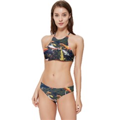 Koi Pond 3d Fish Banded Triangle Bikini Set by Grandong