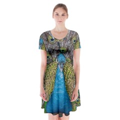 Peacock-feathers2 Short Sleeve V-neck Flare Dress by nateshop