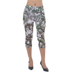 Climbing Plant At Outdoor Wall Lightweight Velour Capri Leggings  by dflcprintsclothing