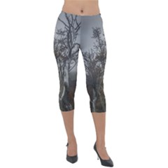 Nature s Resilience: Tierra Del Fuego Forest, Argentina Lightweight Velour Capri Leggings  by dflcprintsclothing