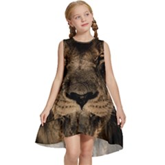 African-lion-mane-close-eyes Kids  Frill Swing Dress by Ket1n9