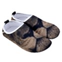 African-lion-mane-close-eyes Men s Sock-Style Water Shoes View3