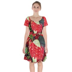 Poinsettia Christmas Star Plant Short Sleeve Bardot Dress by Sarkoni