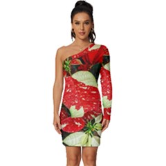 Poinsettia Christmas Star Plant Long Sleeve One Shoulder Mini Dress by Sarkoni