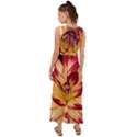 Bloom Blossom Close Up Flora V-Neck Chiffon Maxi Dress View2