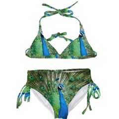 Peafowl Peacock Kids  Classic Bikini Set by Sarkoni