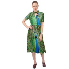 Peafowl Peacock Keyhole Neckline Chiffon Dress by Sarkoni