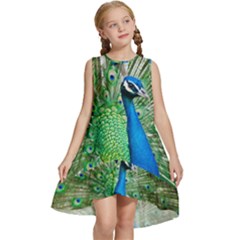 Peafowl Peacock Kids  Frill Swing Dress by Sarkoni