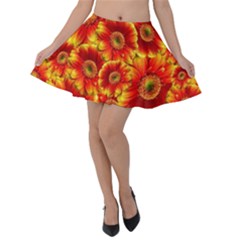 Gerbera Flowers Blossom Bloom Velvet Skater Skirt by Amaryn4rt