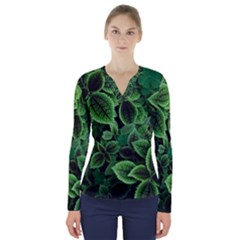 Shanghai Botanical Garden V-neck Long Sleeve Top by Pakjumat