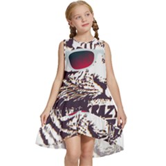 Krazy Katz 3d Tiger Roar Animal Kids  Frill Swing Dress by Sarkoni