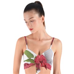 Fruit Healthy Vitamin Vegan Woven Tie Front Bralet by Ket1n9