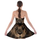 African Lion Mane Close Eyes Strapless Bra Top Dress View2