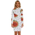 Seamless Background Pattern-with-watermelon Slices Long Sleeve Shirt Collar Bodycon Dress View1