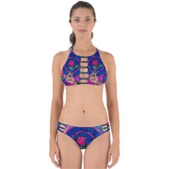 Enchanted Rose Stained Glass Perfectly Cut Out Bikini Set by Cendanart