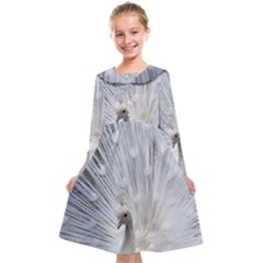 White Peacock Bird Kids  Midi Sailor Dress by Ndabl3x