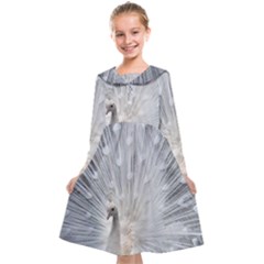 White Feathers, Animal, Bird, Feather, Peacock Kids  Midi Sailor Dress by nateshop