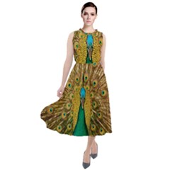 Peacock Feather Bird Peafowl Round Neck Boho Dress by Cemarart