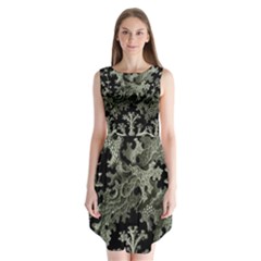 Weave Haeckel Lichenes Photobionten Sleeveless Chiffon Dress   by Cemarart