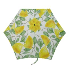 Fruit-2310212 Mini Folding Umbrellas by lipli