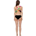 bring colors to your day Low Cut Ruffle Edge Bikini Top View4