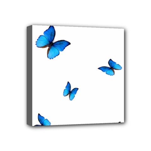 Butterfly-blue-phengaris Mini Canvas 4  X 4  (stretched) by saad11