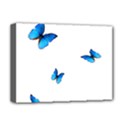 Butterfly-blue-phengaris Deluxe Canvas 16  x 12  (Stretched)  View1